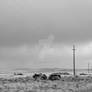 Ghosttown near Meteor Crater 4