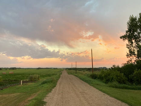 Country Side Road 3