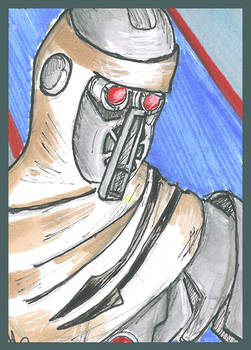 Magna Guard Sketchcard