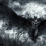 The Dark Knight