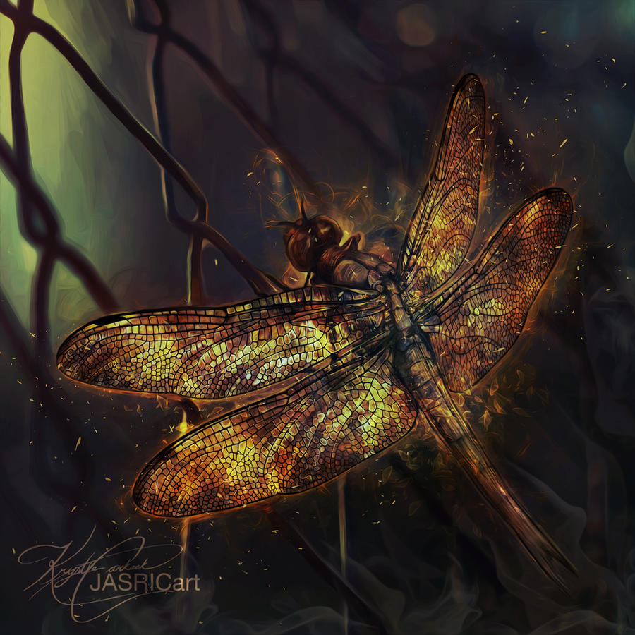 Fire Dragonfly