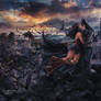 Wonderbat