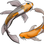 Koi-fish