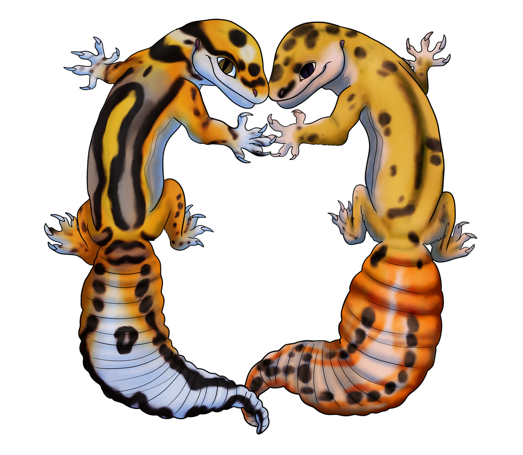 Gecko Deviantart Leopard Gecko Love by Dogthatkills on DeviantArt