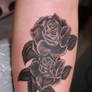 Tattoo twin roses