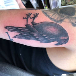 Tattoo Raven