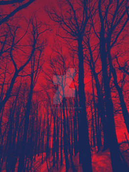Trees