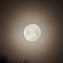 Full Moon