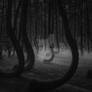 Bent Toward the Unknown