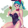 Bulma Patreon