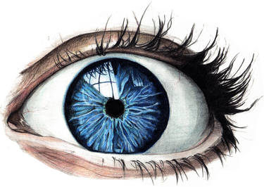 Eye