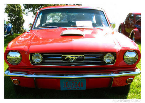 1966 Ford Mustang Grill