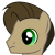 11th Doctor Whooves