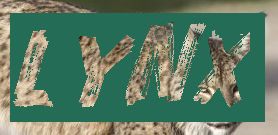 LYNX Sign by lynx318 on DeviantArt