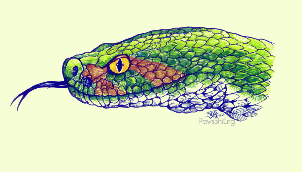 Pigment Python