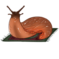 Slug on a Rug