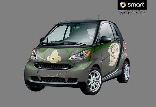 Smartcar-see the glasses?