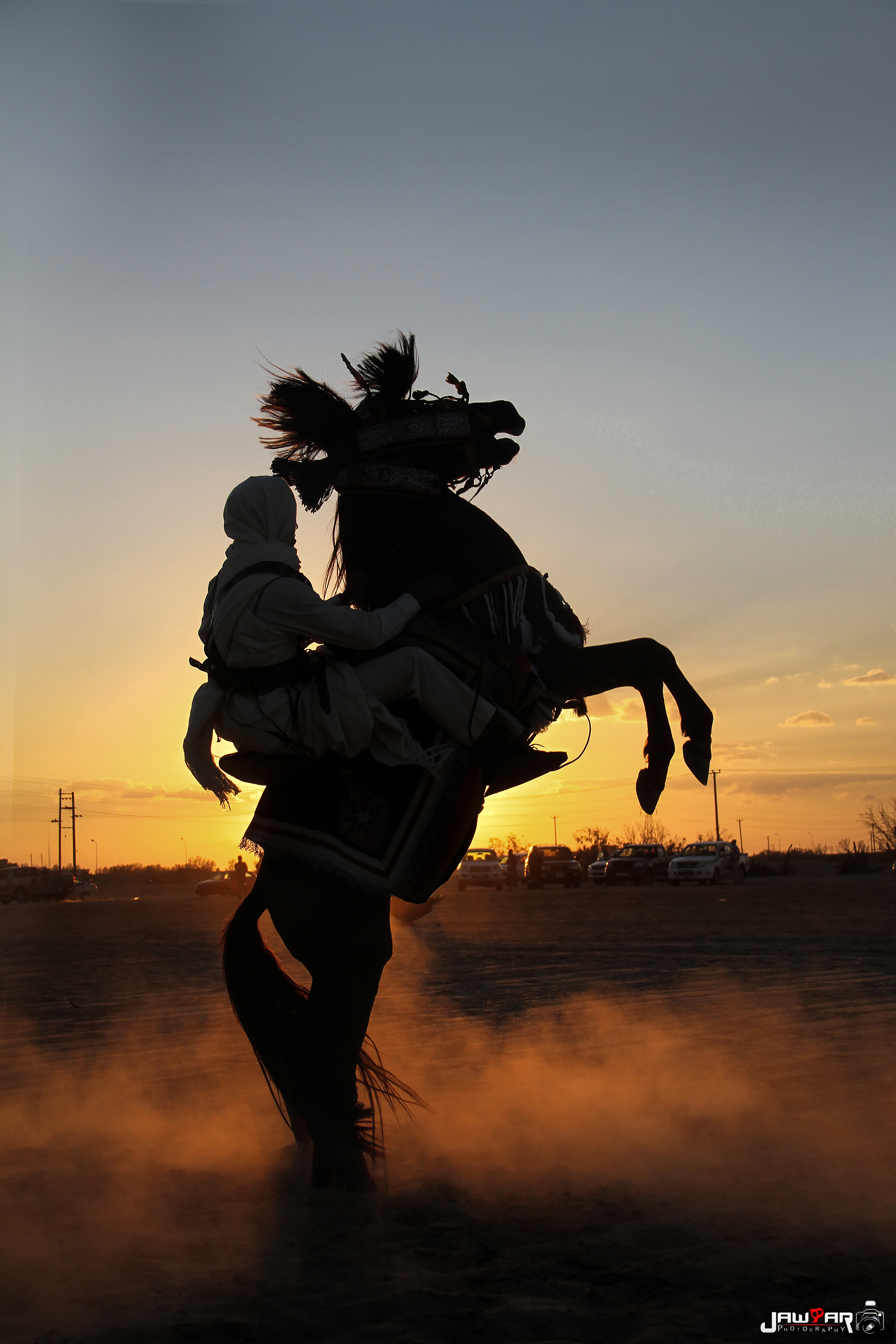 Showing Horse Libya | Awjila