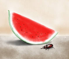 Watermelon and a Beetle