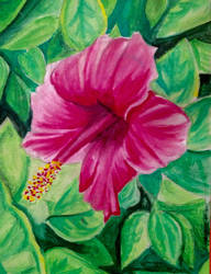 Hibiscus dream painting