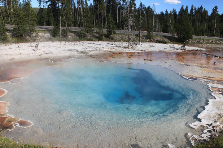 Fountain Paints Pot