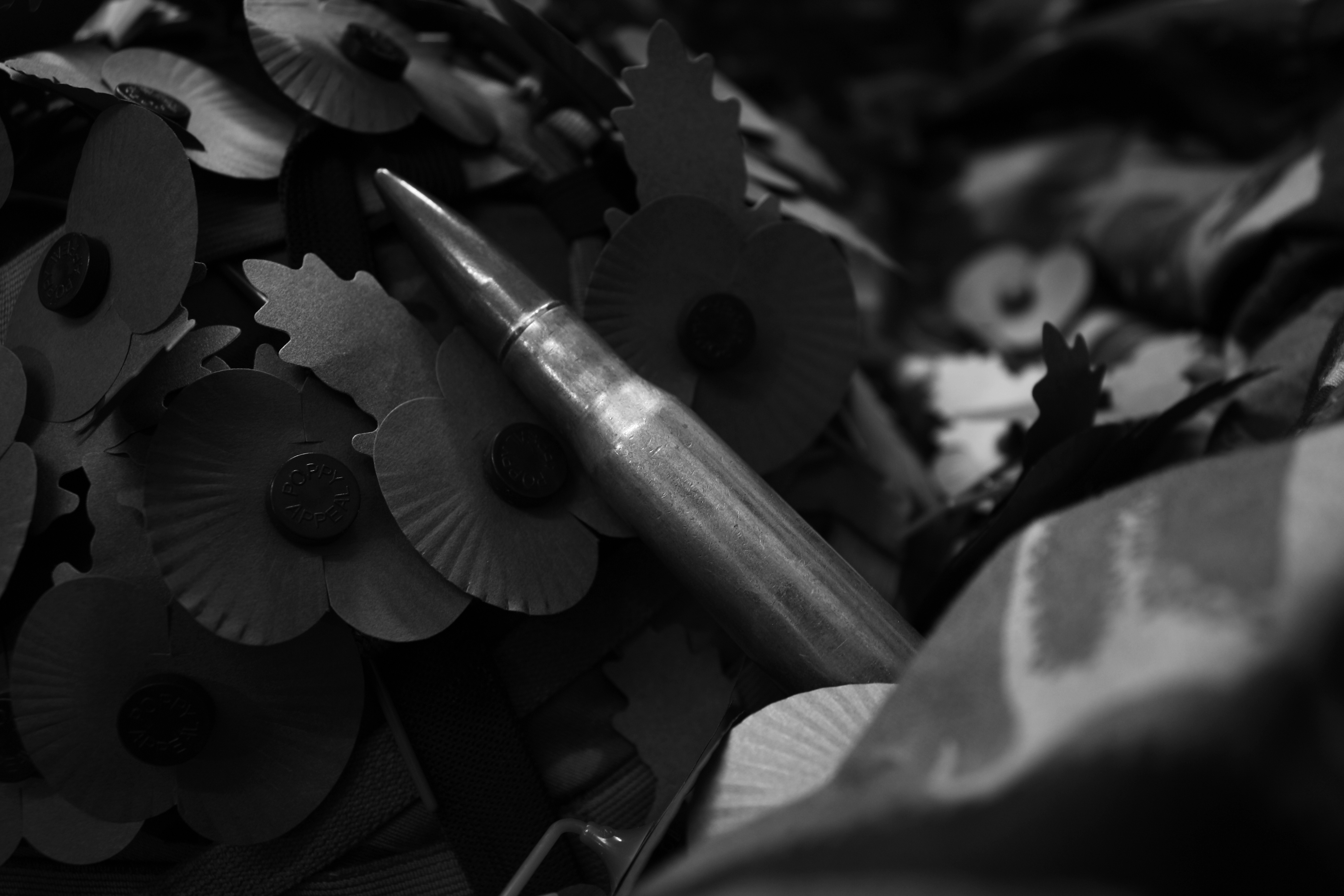 Poppies and the bullet