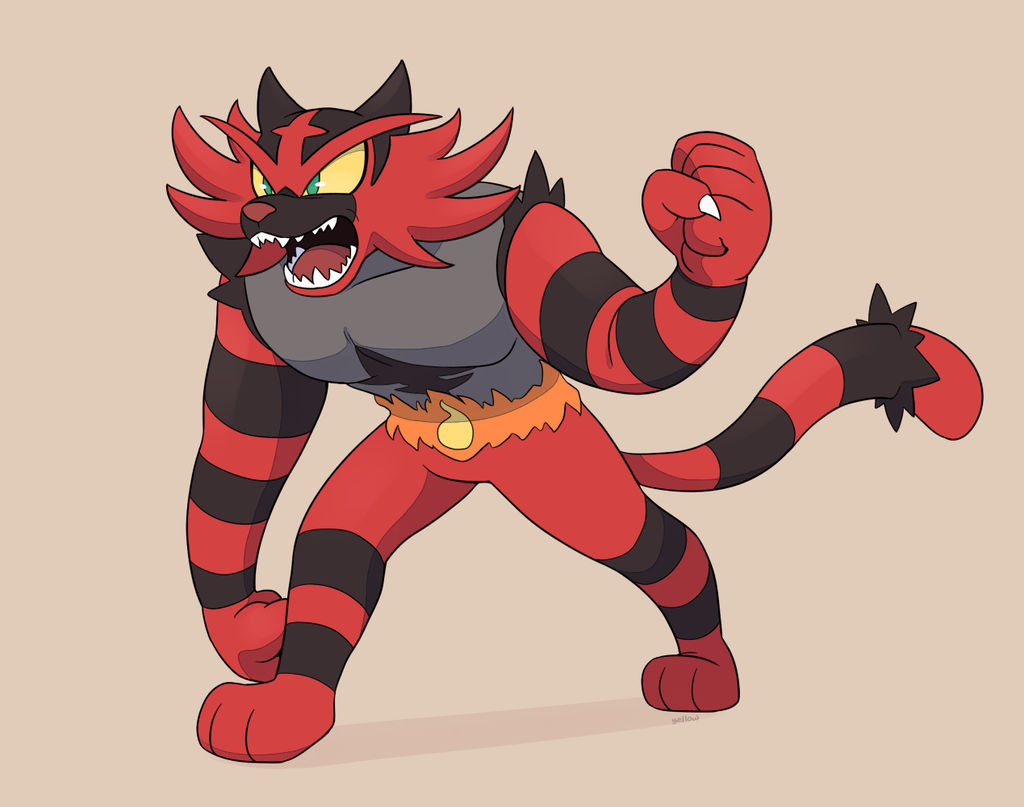 wrestle cat