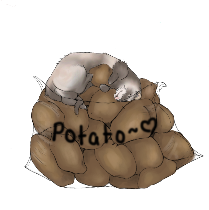 :Potato Love: