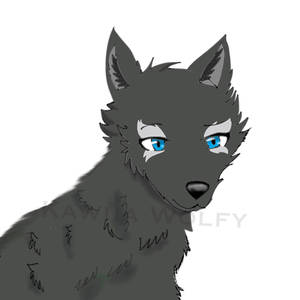 Explore the Best Wildcraft Art | DeviantArt