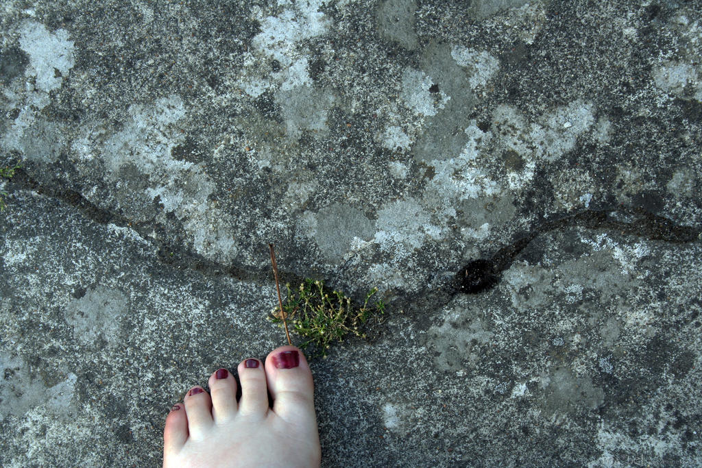 Foot Fall Pic when the foot fall - 1 by reinemab on DeviantArt