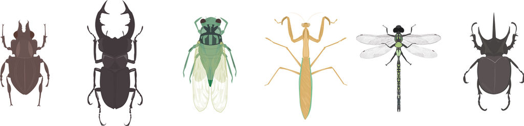 All Insects List Deviantart insects2 by cagecandy on DeviantArt