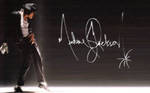 Michael Jackson tribute wall7