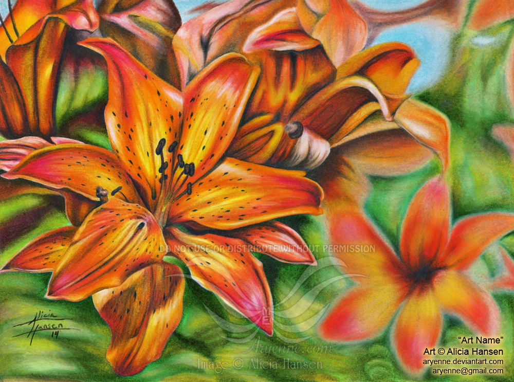 Fire Gazer Lilies