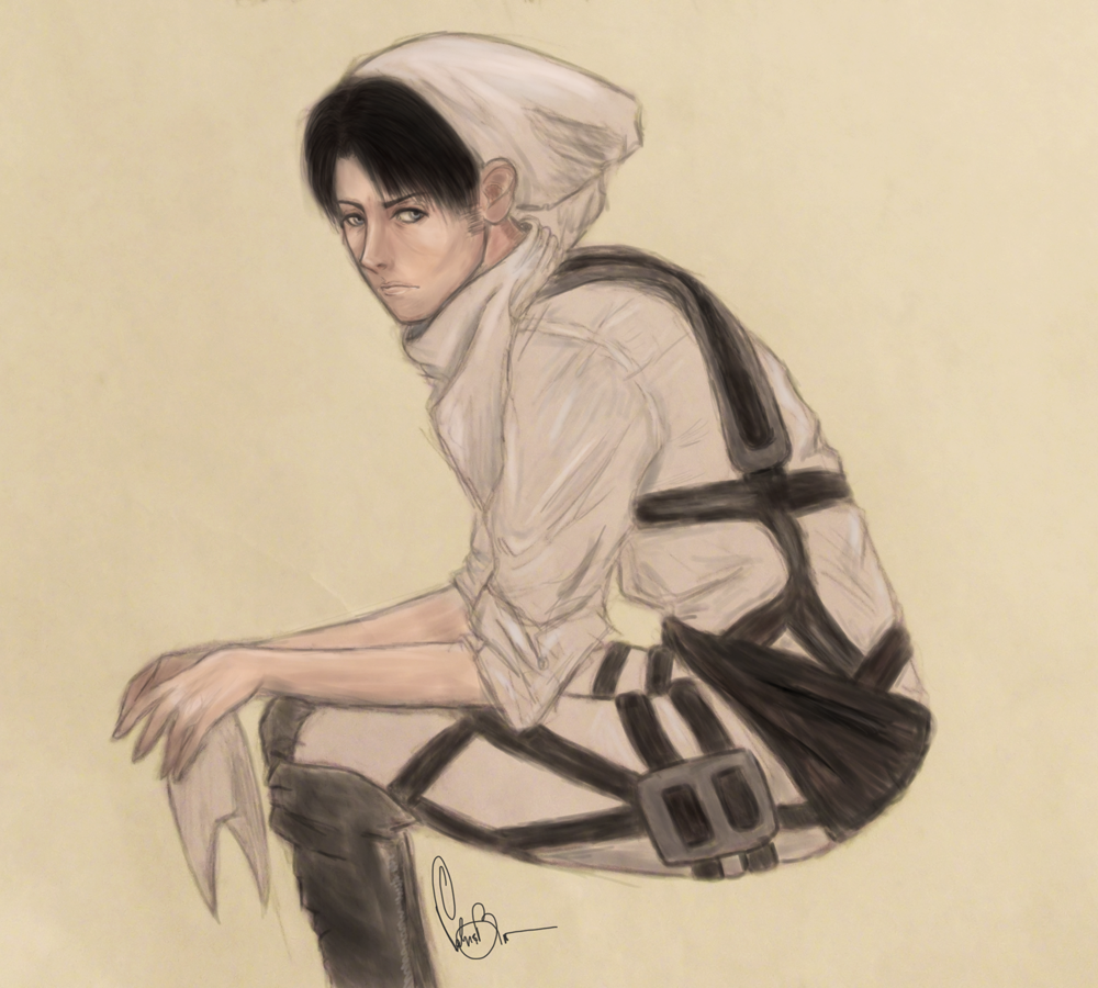 Cleaner Heichou 2