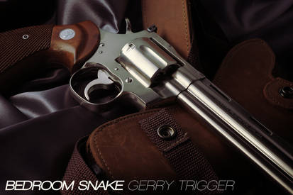 Bedroom Snake - Kokusai Colt Python .357 Model gun