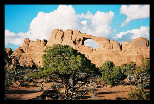 Arches National Park