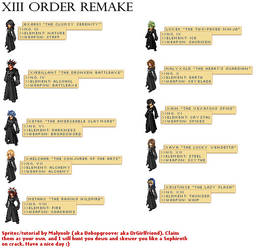 XIII Order Remake Complete