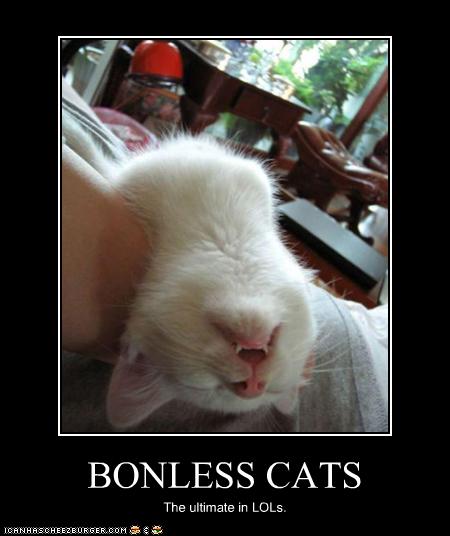 Boneless cats