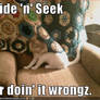 Hide and Seek