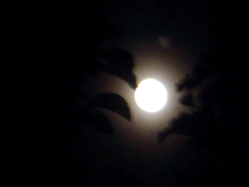 Full Moon