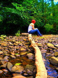 Sitting on a log