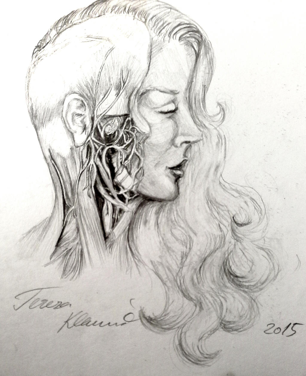 Anatomical study -Hidden beauty