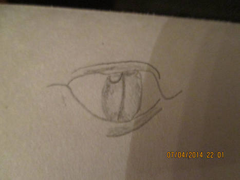 My Drawing of a Dragon's eye