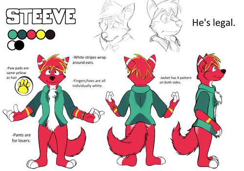 Steeve Reference Sheet 2014