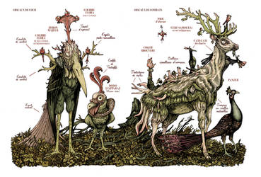 Bestiary Monsters