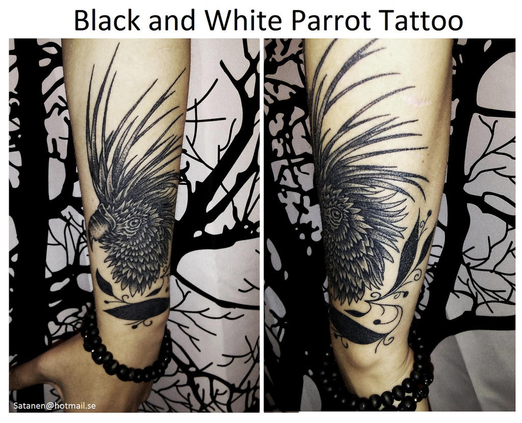 Black and White Parrot Tattoo by satanen