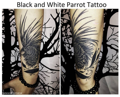 Black and White Parrot Tattoo