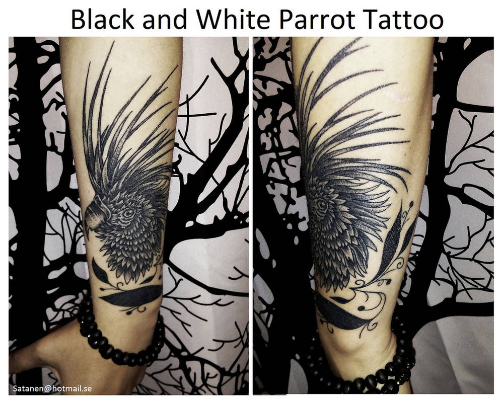 Black and White Parrot Tattoo by satanen