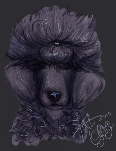 Poodle Doodle