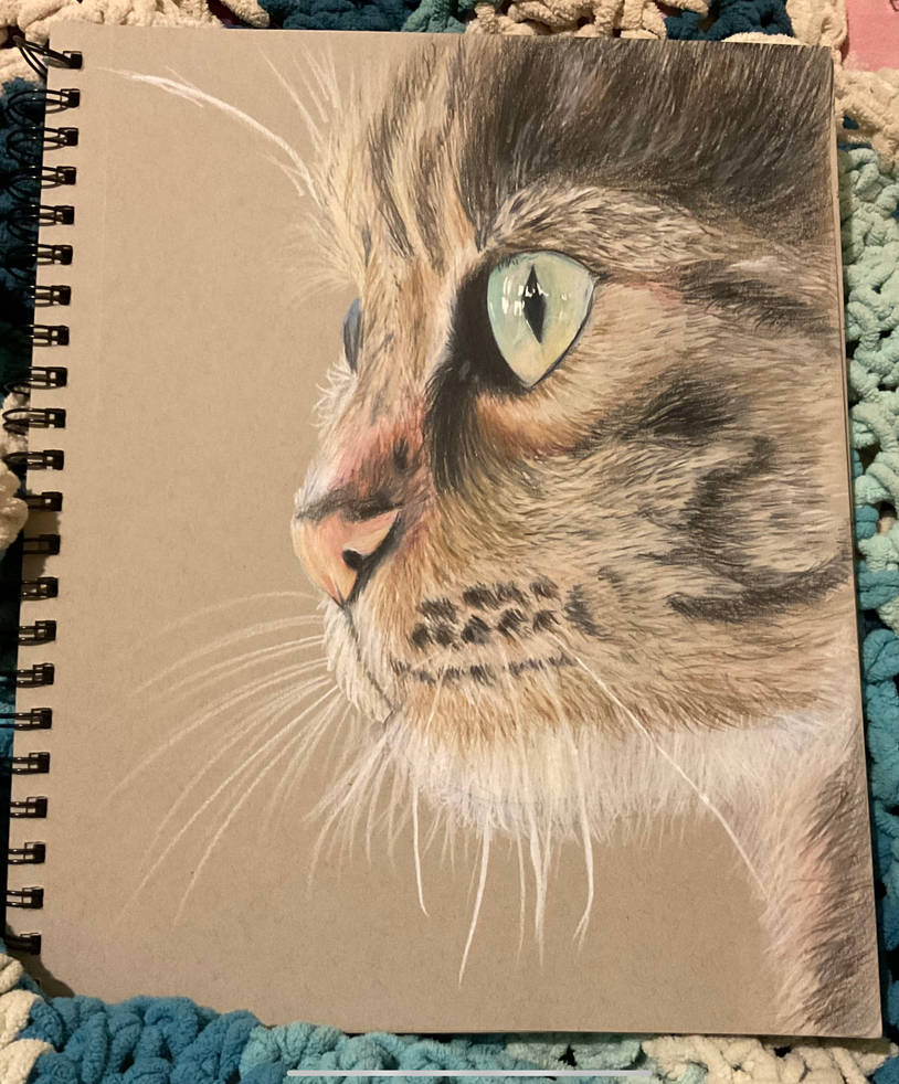 Realistic cat drawing by twinkletoonz on DeviantArt